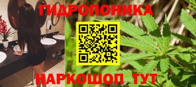 2c-b Канаш