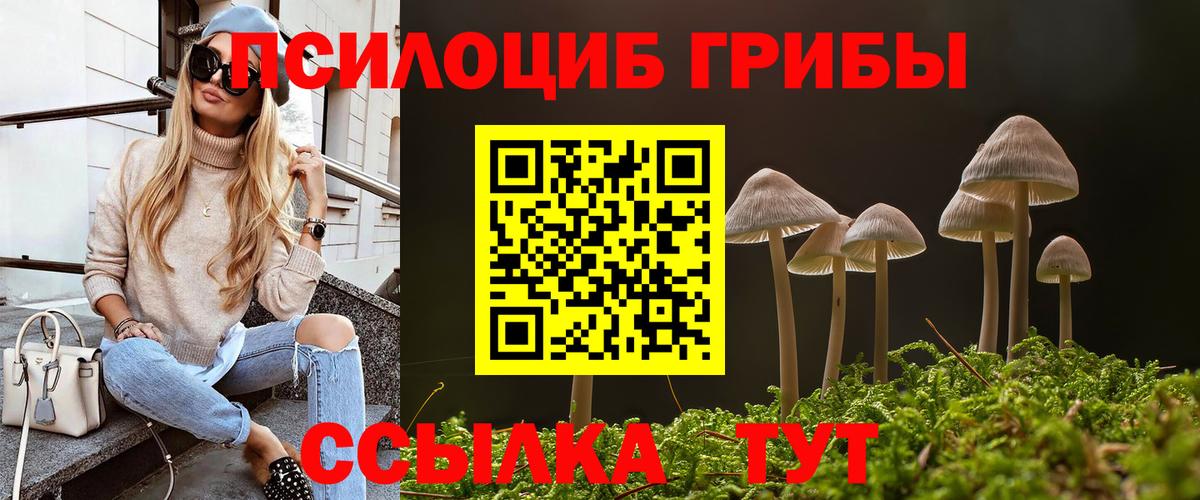 хочу наркоту  Псилоцибиновые грибы мицелий  Вход с VPN  Великий Устюг 